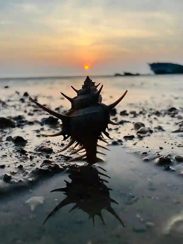 Explore